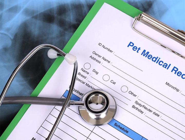 Pet Portal Riverside Animal Hospital